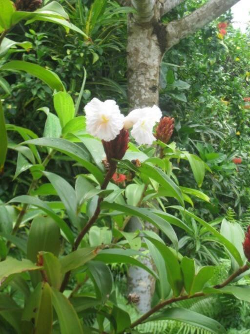 Exquisite Private — Sekala, Sanur, Se Bali * Sanur (Bali)