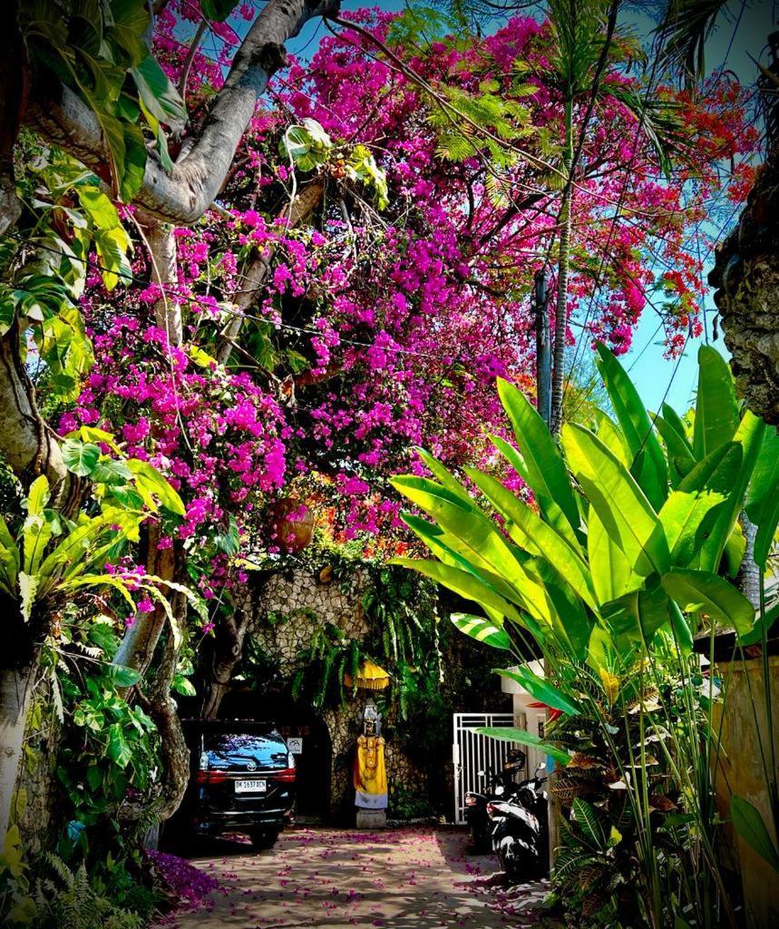 Exquisite Private — Sekala, Sanur, Se Bali